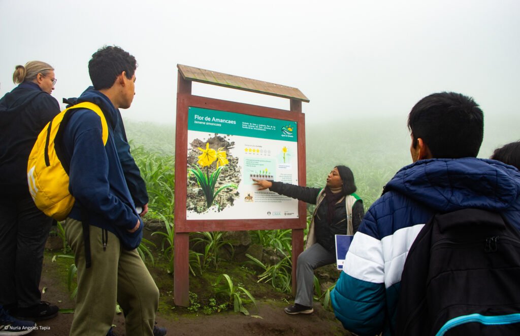 Lomas de paraiso-Nuria Angeles-7145