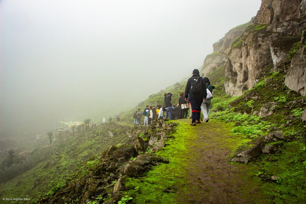 Lomas del paraíso - Nuria Angeles